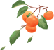 https://wxssy.wxlxjy.com/contents/sitefiles2052/10260727/images/28998576.png