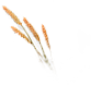 https://wxssy.wxlxjy.com/contents/sitefiles2052/10260727/images/31049576.png