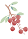 https://wxssy.wxlxjy.com/contents/sitefiles2052/10260727/images/31564232.png